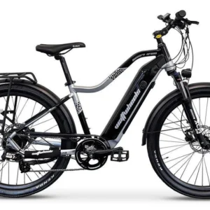 Wattwheels Bighorn Urban (Hub)